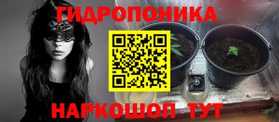 прущие грибы Малоярославец