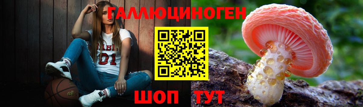 Псилоцибиновые грибы Cubensis Черкесск